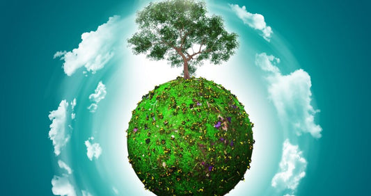 Tips For an Environment-Friendly Hair Care Routine!