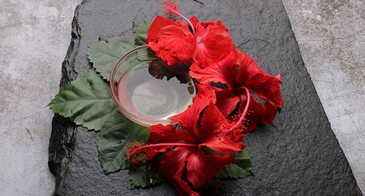 7 Effective Ways to Use Hibiscus for Healthier, Stronger Hair